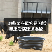 哪些星座最容易闪婚?星座爱情速递揭秘(图4) 哪些星座最容易闪婚?星座爱情速递揭秘(图4)