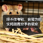 经不住考验,容易为现实问题而分手的星座(图3) 经不住考验,容易为现实问题而分手的星座(图3)