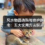 风水物品选购与维护指南:五大实用方法解决常见问题(图2) 风水物品选购与维护指南:五大实用方法解决常见问题(图2)